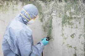 Platte City, MO Mold Prevention & Removal  Company